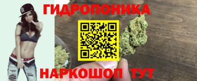 мяу мяу мука Малоярославец