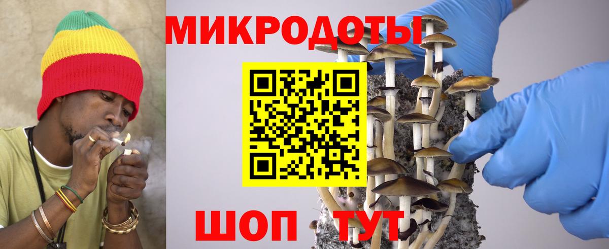 Сертолово  Псилоцибиновые грибы мицелий  Вход с VPN 